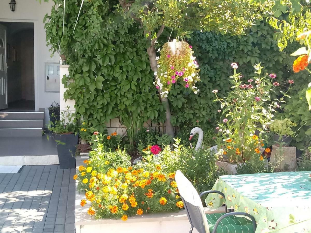 Apartments Centar - Mirjana Makarska Bagian luar foto